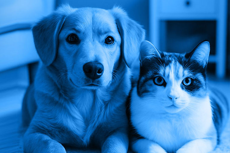How do I choose the right security alarm for my house?